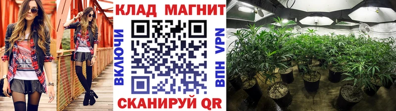 Купить закладку Метадон  Cocaine  ГАШ  Меф  Амфетамин  Марихуана  Alpha PVP  Ливны