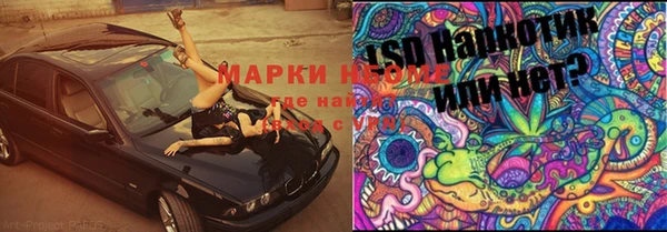 прущая мука Дмитриев