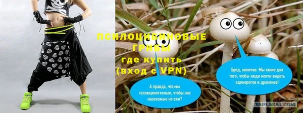 ECSTASY Дмитров